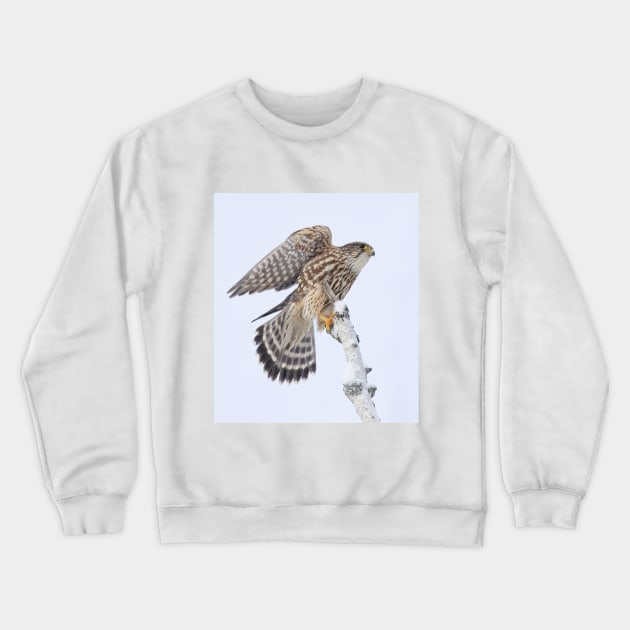 Merlin Crewneck Sweatshirt by Jim Cumming